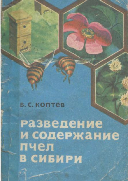 Разведение и содержание пчел в Сибири